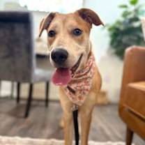 Thumbnail photo of Sandy Duffy #3