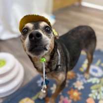 Thumbnail photo of Gramps #2