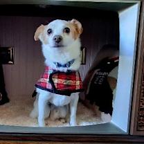 Thumbnail photo of Stark #1