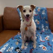 Thumbnail photo of Stark #2