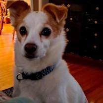 Thumbnail photo of Stark #3