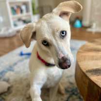 Thumbnail photo of Rory right on time tv watching family girl #1