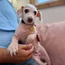 Thumbnail photo of Willa Jean #1