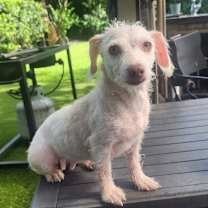 Thumbnail photo of Willa Jean #2