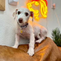 Thumbnail photo of Willa Jean #4