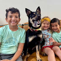 Thumbnail photo of Rocky a ball-loving good time #2