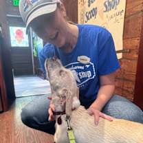 Thumbnail photo of Castiel #2