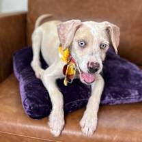 Thumbnail photo of Castiel #3