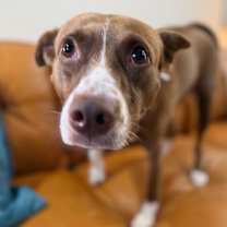 Thumbnail photo of Princess Zena a Perfect Gentle Soul #1