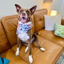 Thumbnail photo of Princess Zena a Perfect Gentle Soul #4