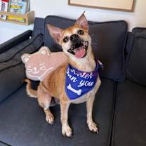 Thumbnail photo of Patrick Swayze #1