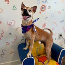 Thumbnail photo of Patrick Swayze #2