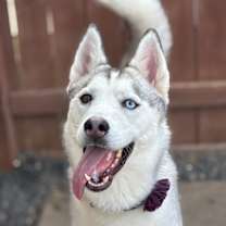 Thumbnail photo of Madame Cleo is your future #1