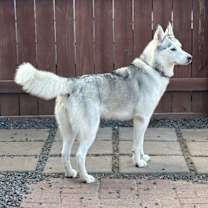 Thumbnail photo of Madame Cleo is your future #4