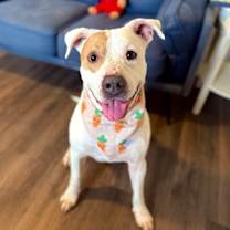 Thumbnail photo of Cyrus Cuddles the Easy Breezy Love Bug #1