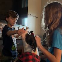 Thumbnail photo of Sweet Eddie Beau with the soulful eyes #2