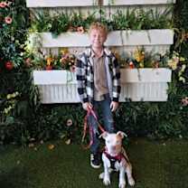 Thumbnail photo of Beethoven Clu Tiny and Sweet #2