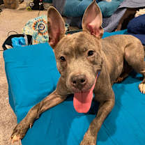 Thumbnail photo of Sugar  #1