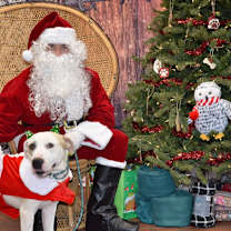 Thumbnail photo of Banks #1