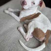 Thumbnail photo of Flynn Family Fun Wanted #1