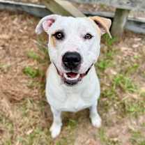 Thumbnail photo of Banks #2