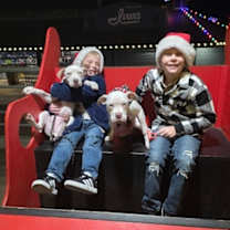 Thumbnail photo of Flynn Family Fun Wanted #4