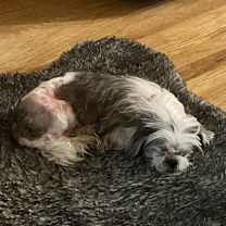 Thumbnail photo of Birdie #2