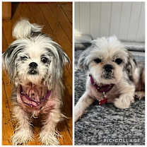 Thumbnail photo of Birdie #4