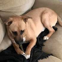 Thumbnail photo of Bob #4