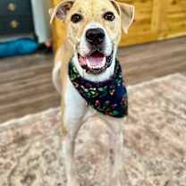 Thumbnail photo of Winston Waldo Wiggly Dude #2