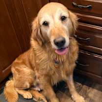 Thumbnail photo of Sunny! #2