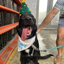 Thumbnail photo of Pantera Hebert #1