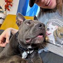 Thumbnail photo of Smokey Sassy Sweet and Small #4