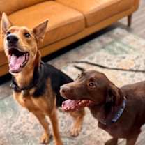 Thumbnail photo of Becca Boo Loves Bigger than her EARS! #2