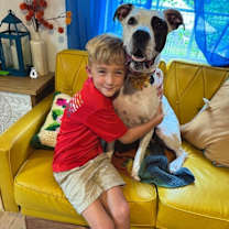 Thumbnail photo of Lizzie angel on earth! #1