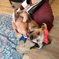 Thumbnail photo of Demi Moore #3