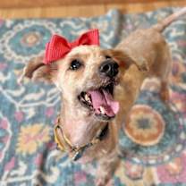 Thumbnail photo of Demi Moore #4