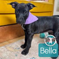 Thumbnail photo of Bella Charriton #3