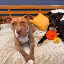 Thumbnail photo of Bill Nye the Love Guy #3