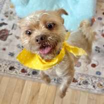 Thumbnail photo of Tim Bits #2