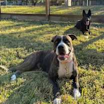 Thumbnail photo of Mabel Loves Stuffies #2