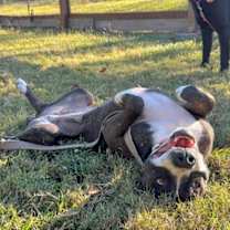 Thumbnail photo of Mabel Loves Stuffies #3