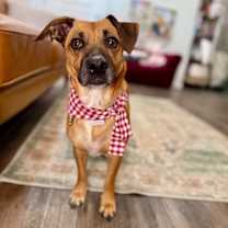 Thumbnail photo of Mini Miska Cuddle Bug Marshmallow Love #1