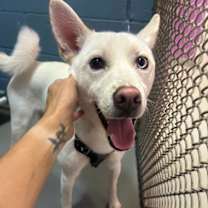 Thumbnail photo of Polar #1