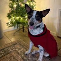 Thumbnail photo of Chase Mississippi #1