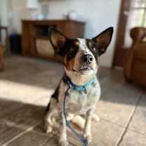 Thumbnail photo of Chase Mississippi #2