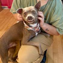 Thumbnail photo of Rufus Toofus #4