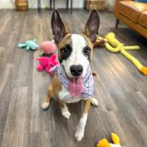 Thumbnail photo of Lucille Lovey #1