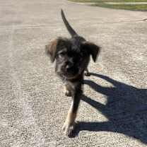 Thumbnail photo of Cream Soda #3