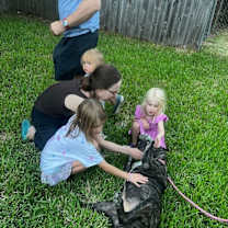 Thumbnail photo of Lady Rose #2